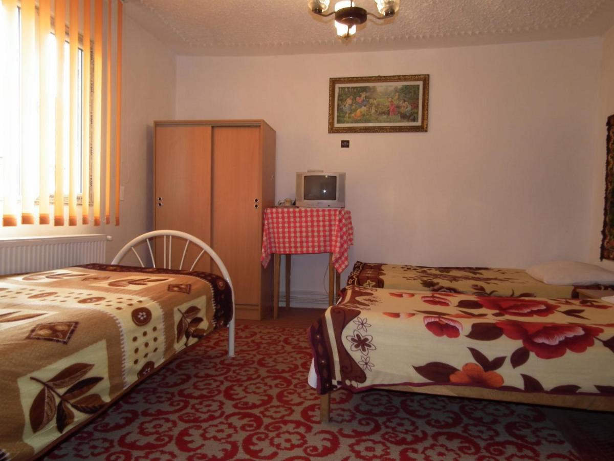 Pensiunea Irina 3 Zarnesti Exterior photo