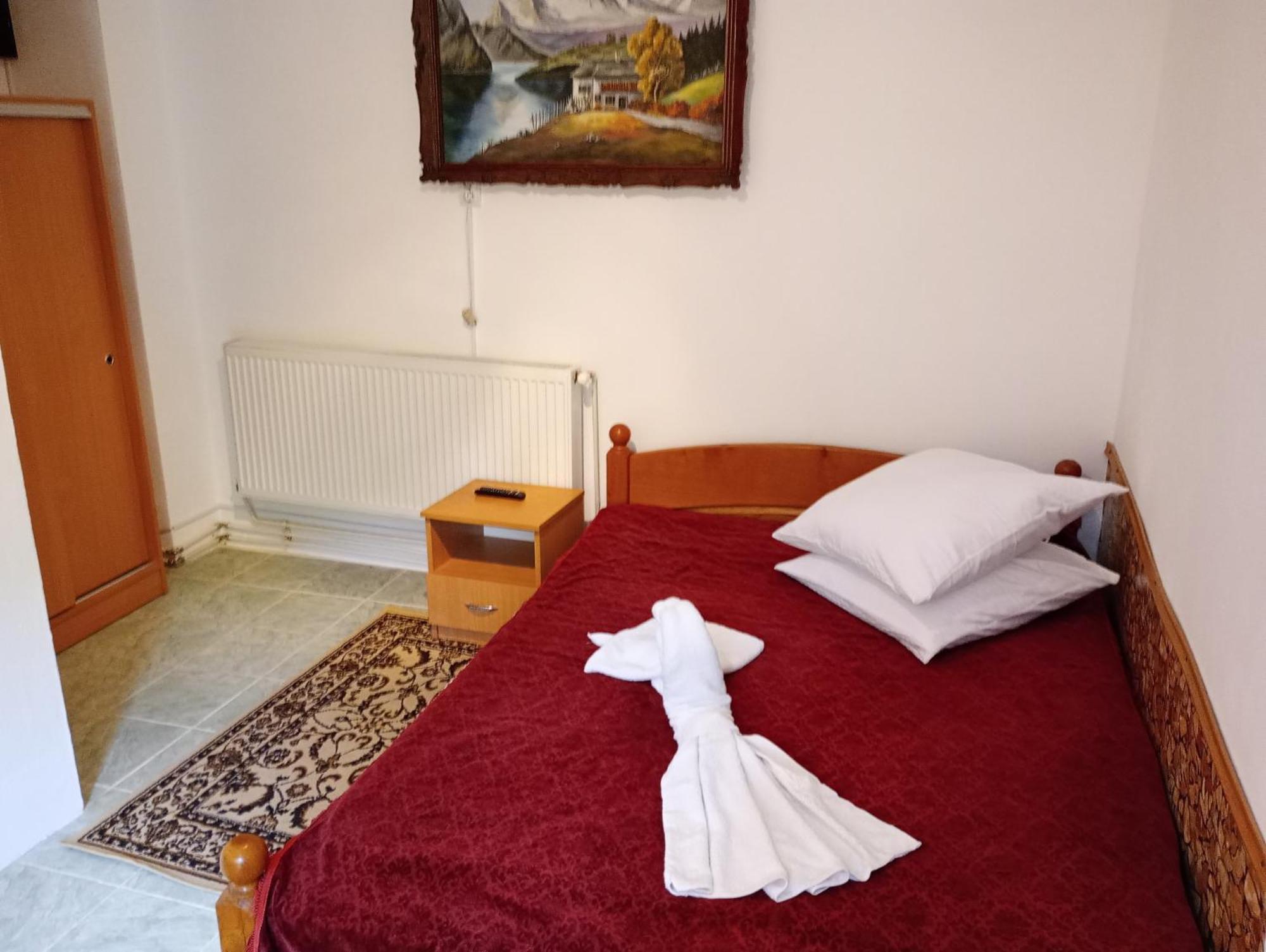 Pensiunea Irina 3 Zarnesti Exterior photo