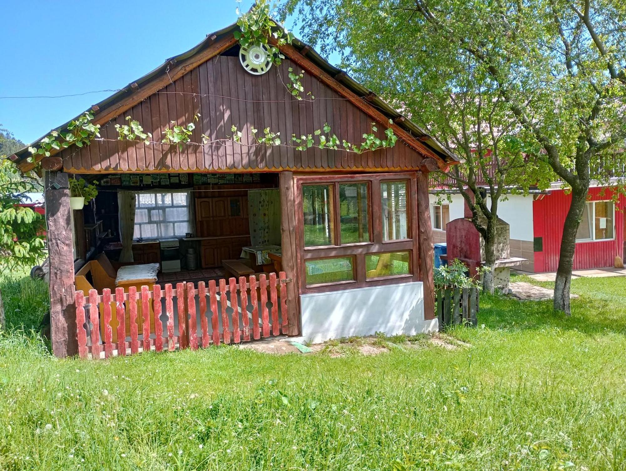 Pensiunea Irina 3 Zarnesti Exterior photo