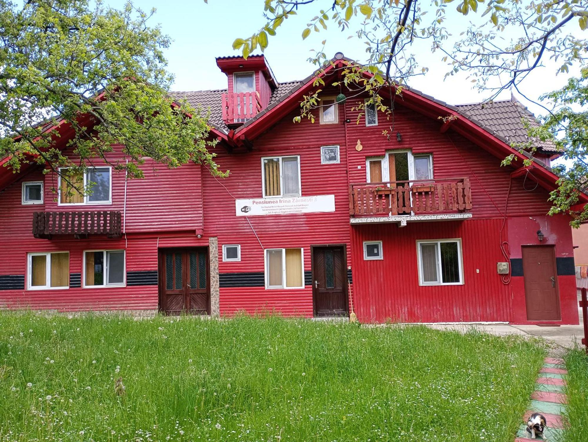 Pensiunea Irina 3 Zarnesti Exterior photo