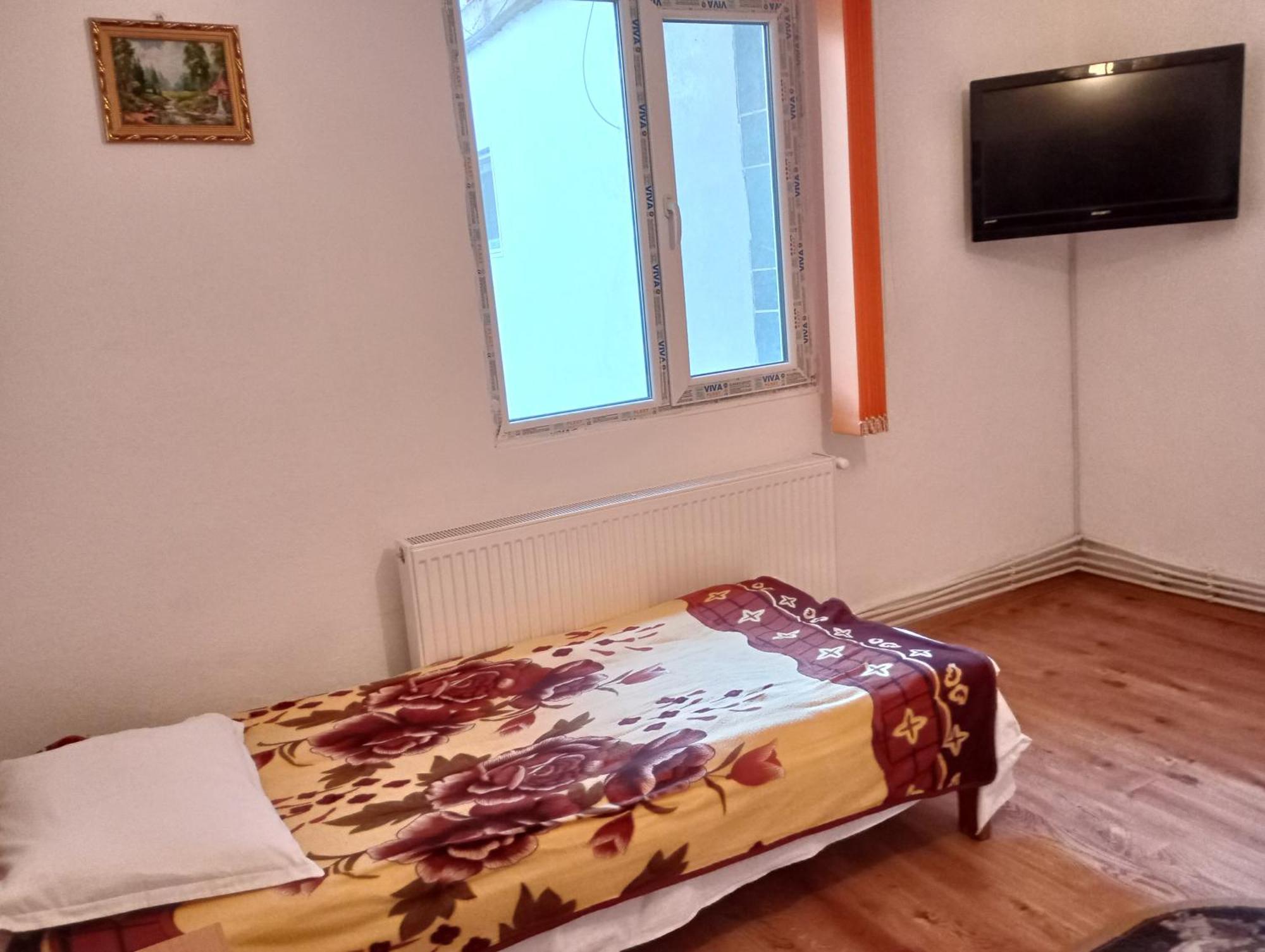 Pensiunea Irina 3 Zarnesti Exterior photo