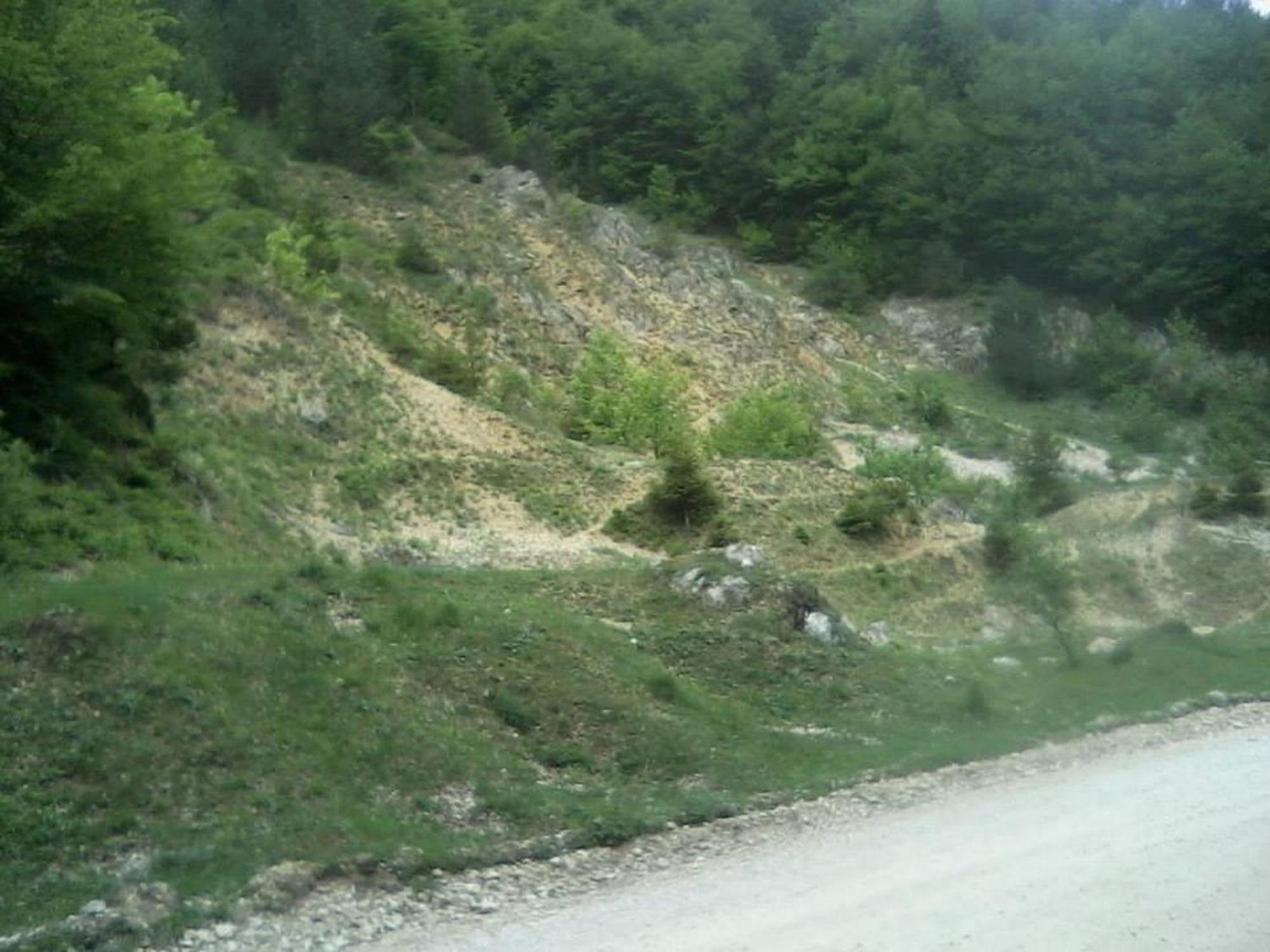 Pensiunea Irina 3 Zarnesti Exterior photo