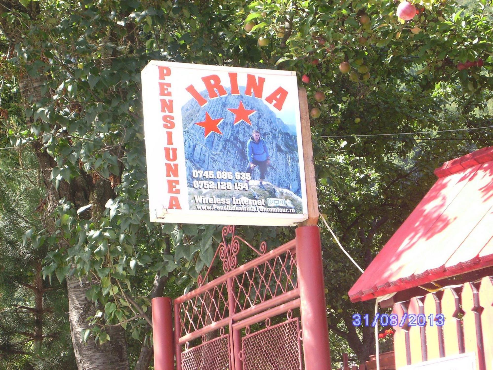 Pensiunea Irina 3 Zarnesti Exterior photo