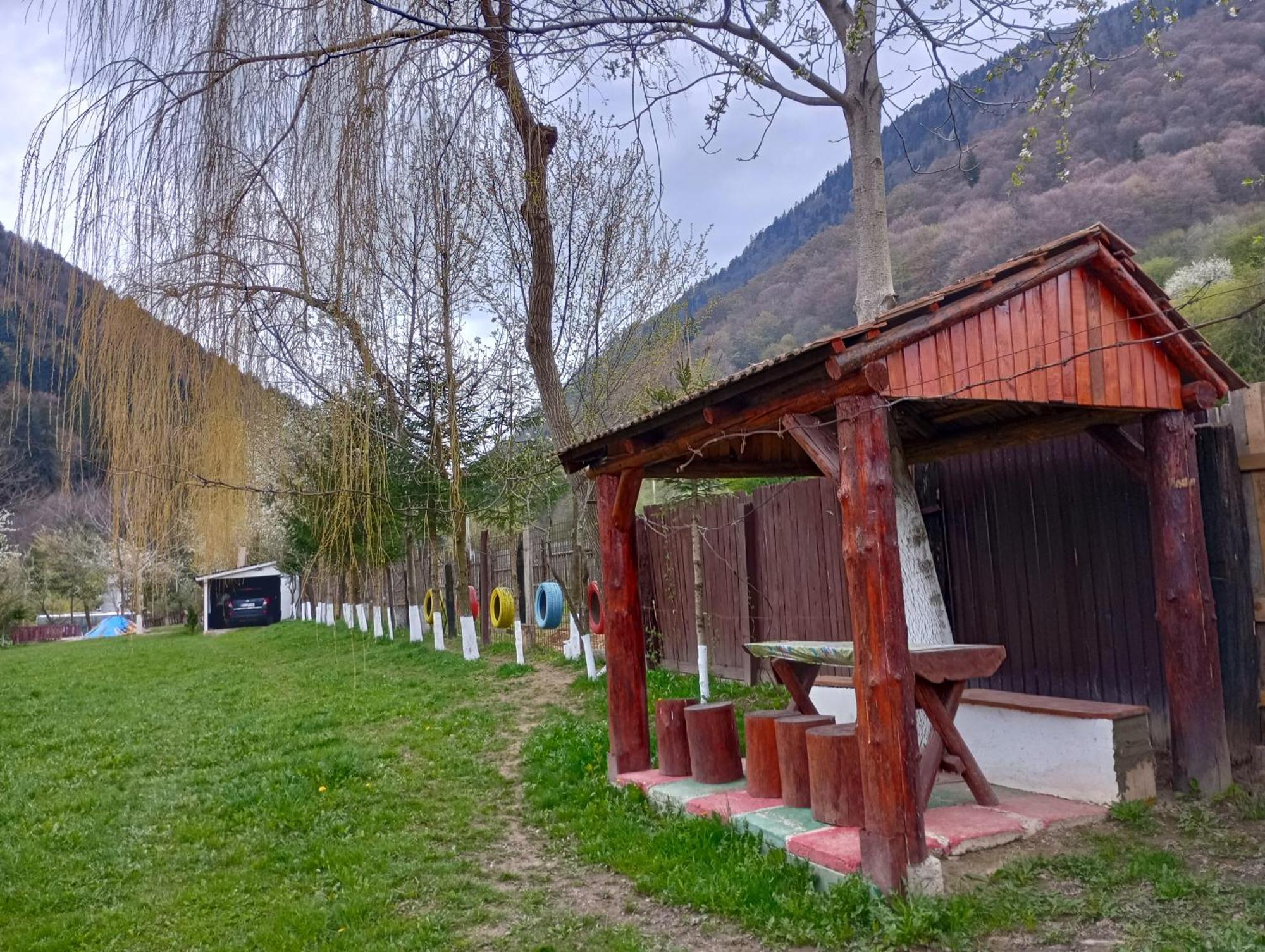 Pensiunea Irina 3 Zarnesti Exterior photo