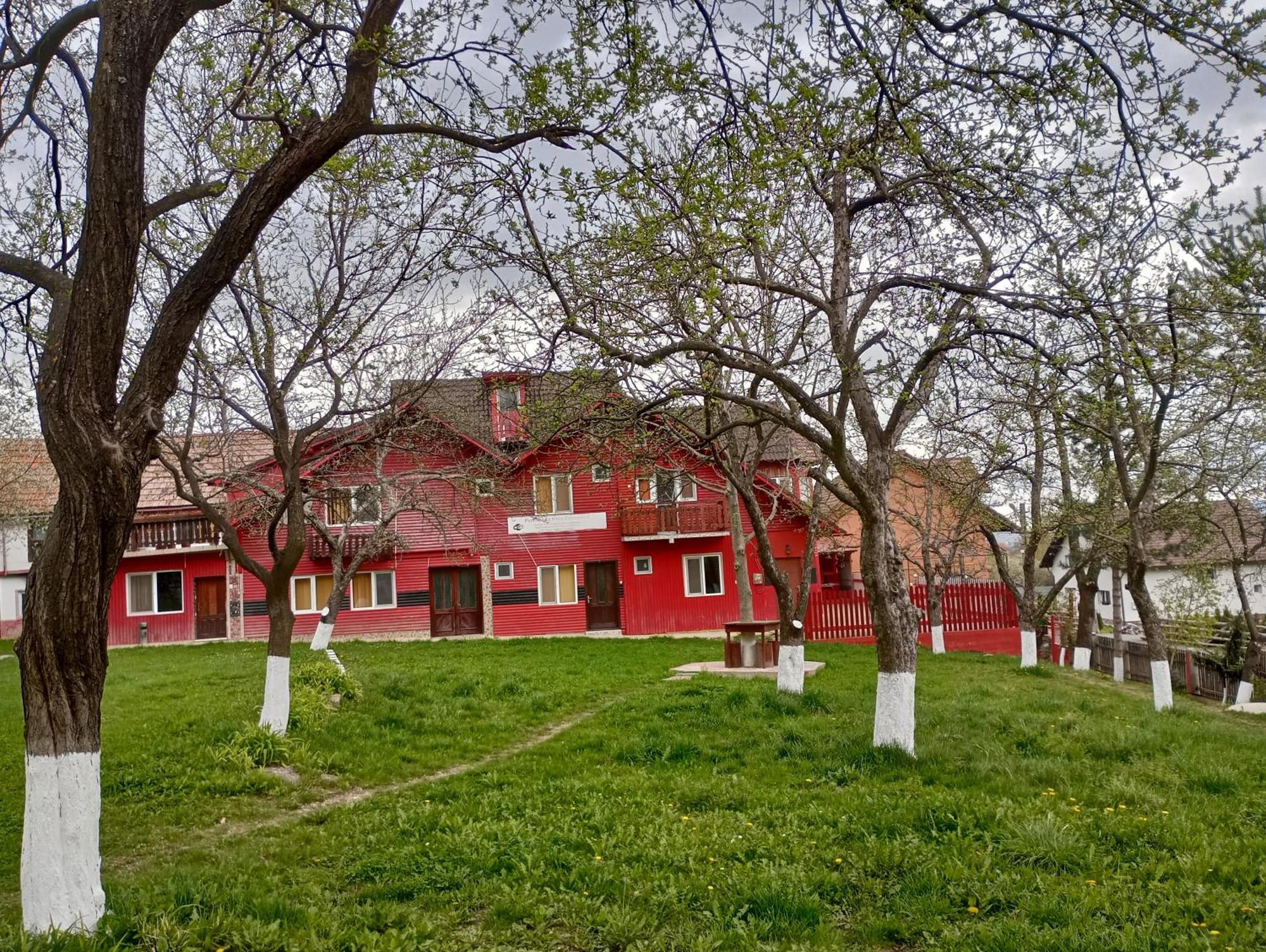 Pensiunea Irina 3 Zarnesti Exterior photo