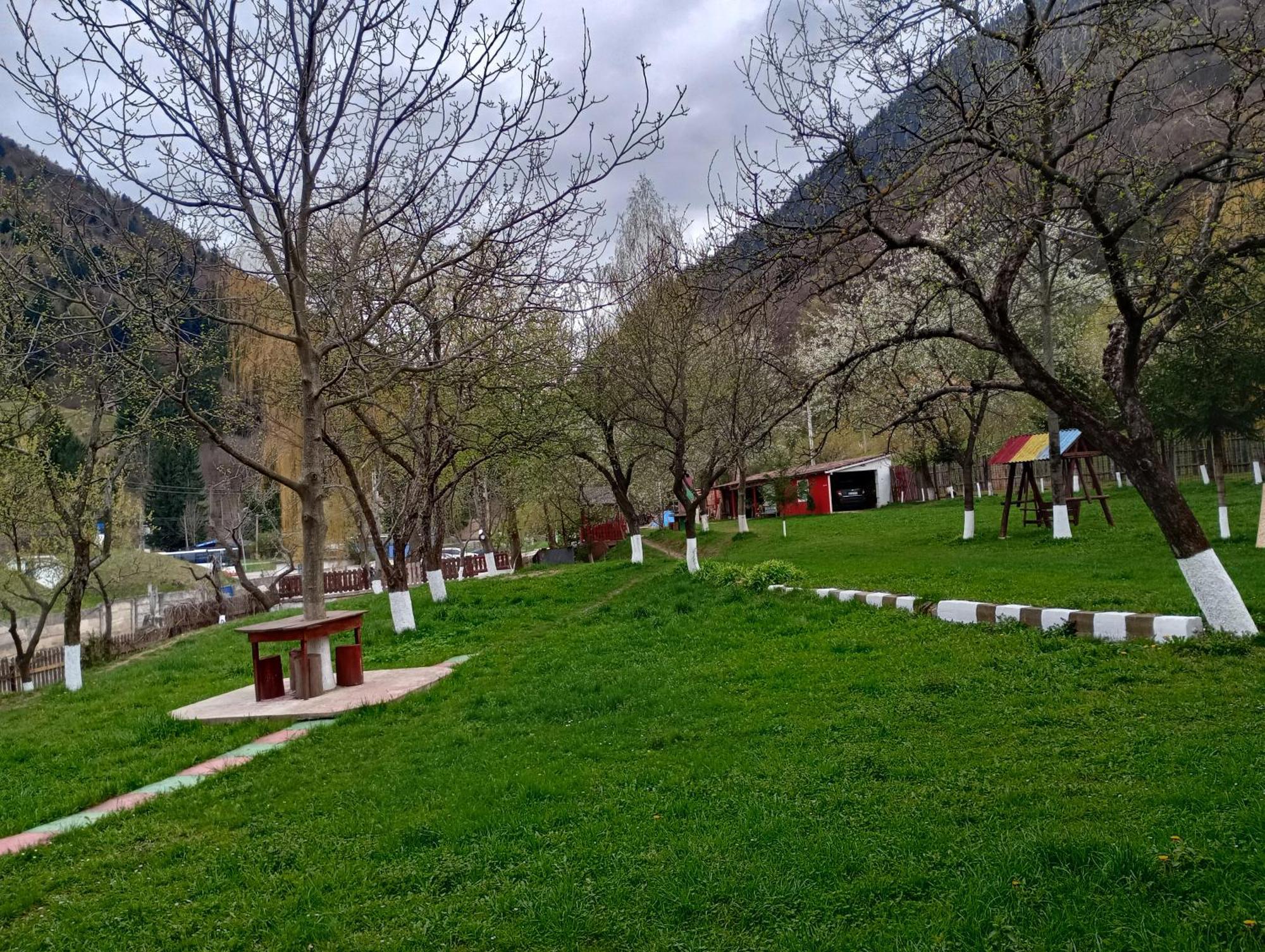 Pensiunea Irina 3 Zarnesti Exterior photo